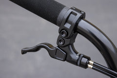 Sunday Forecaster Park - Maca Perez Grasset Signature (Gloss Black with 20.5" tt)